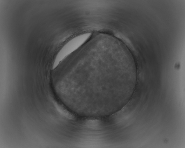 X0000092090066200710101110