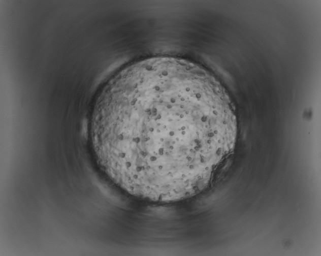 X0000092090067200710101110
