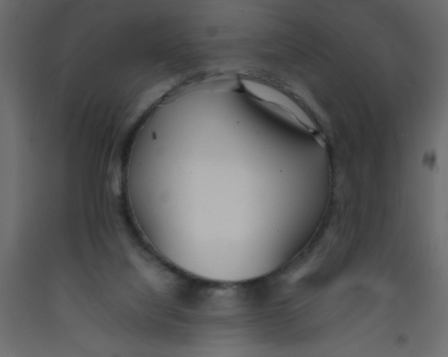 X0000092090068200710101110