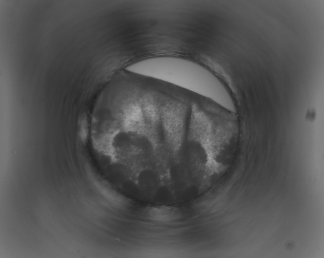 X0000092090069200710101110