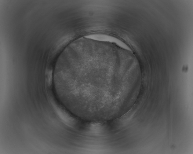 X0000092090070200710101110
