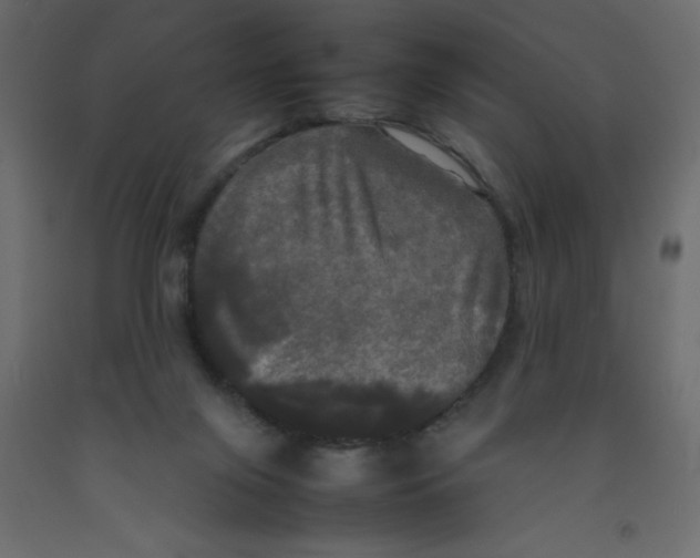 X0000092090071200710101110