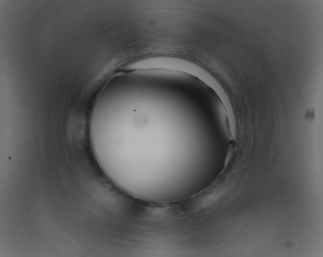 X0000092090072200710101110