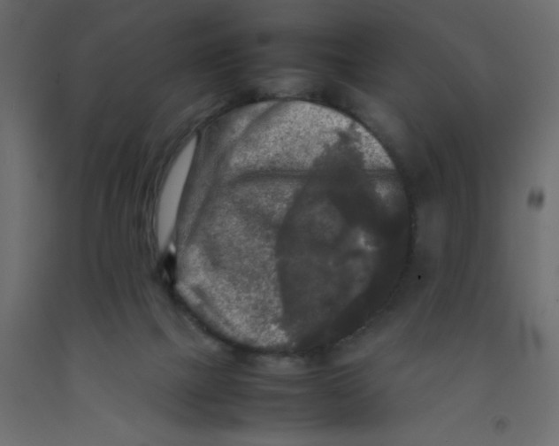 X0000092090073200710101110