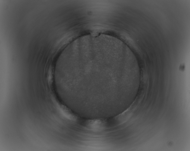 X0000092090074200710101110
