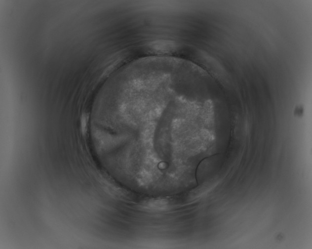 X0000092090075200710101110