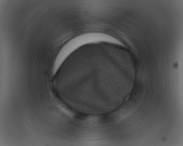 X0000092090076200710101110