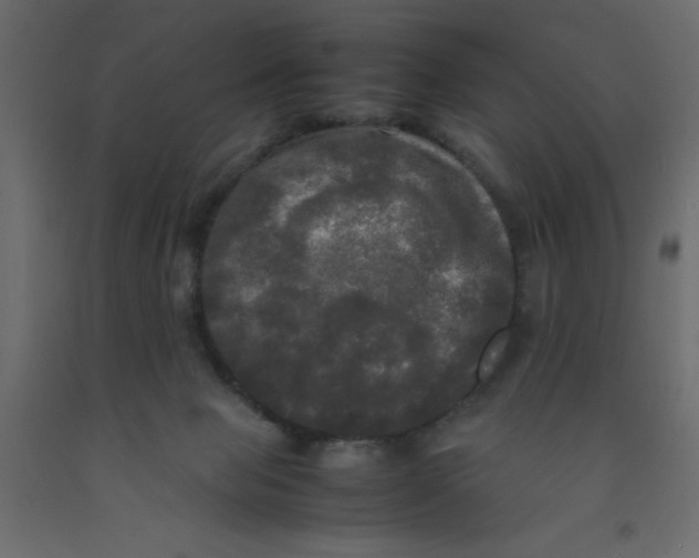 X0000092090077200710101110