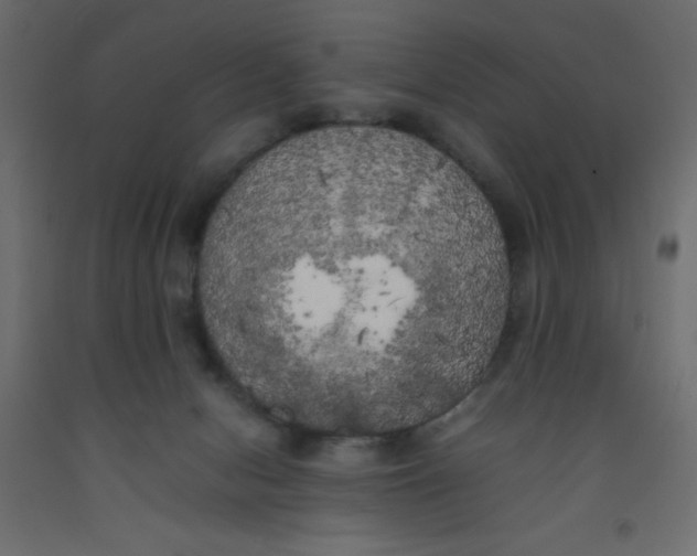 X0000092090078200710101110