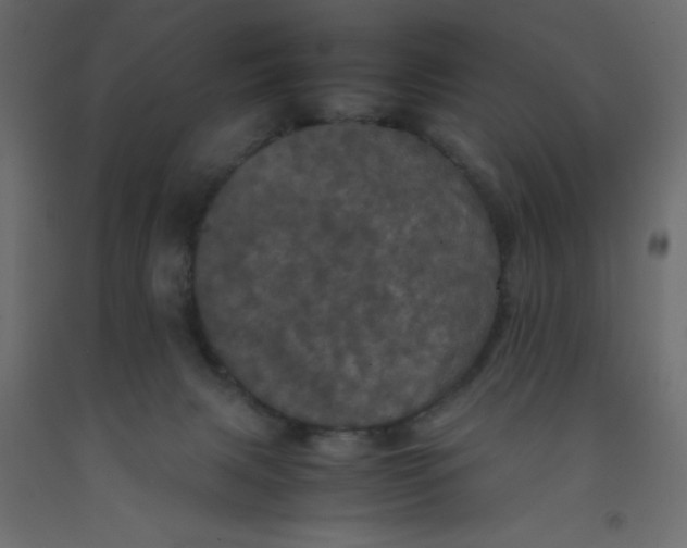 X0000092090079200710101110