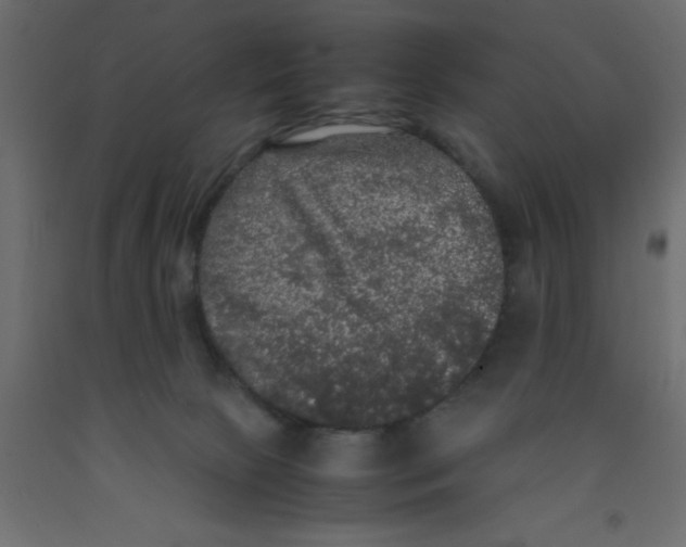 X0000092090081200710101110