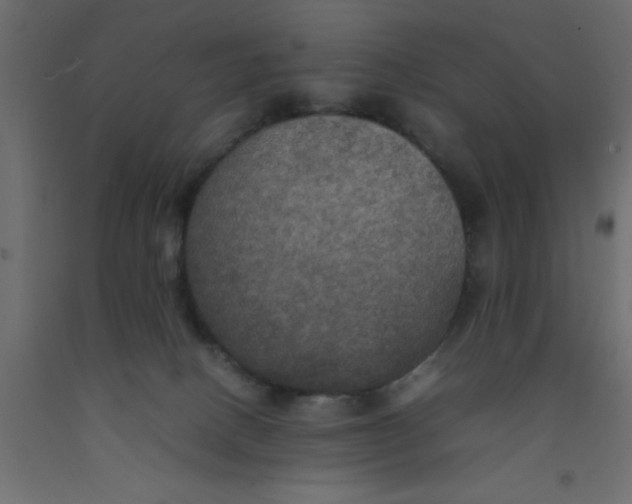 X0000092090082200710101110