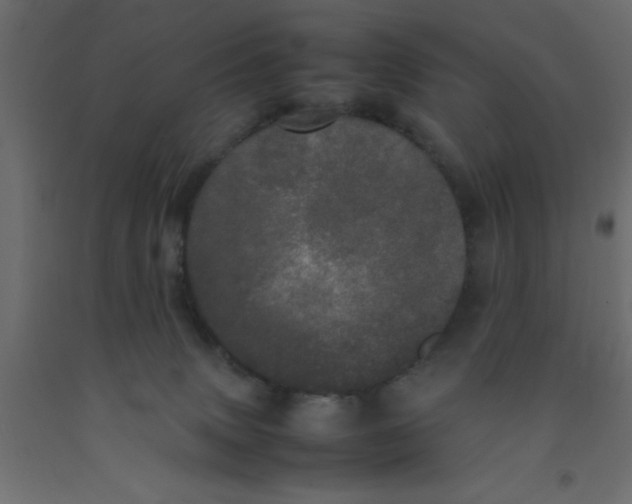 X0000092090083200710101110