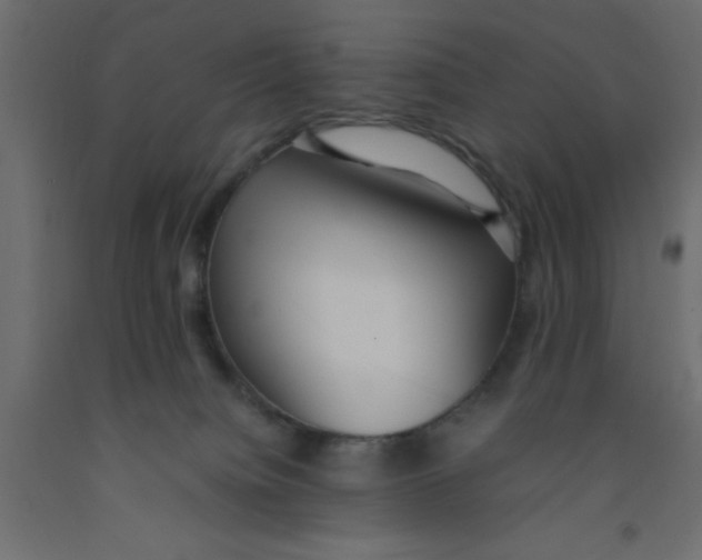 X0000092090084200710101110