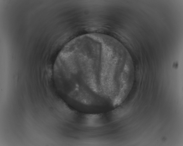 X0000092090085200710101110