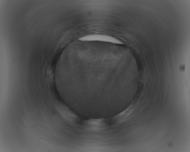 X0000092090086200710101110