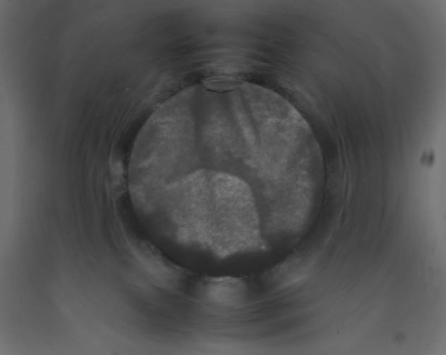 X0000092090087200710101110