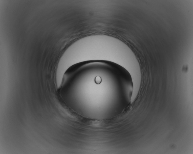 X0000092090088200710101110
