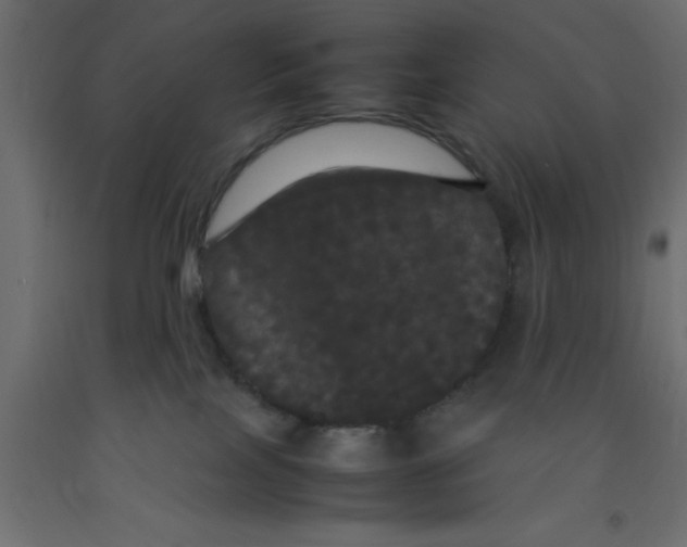 X0000092090089200710101110
