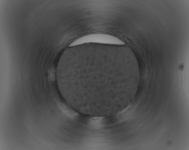 X0000092090090200710101110