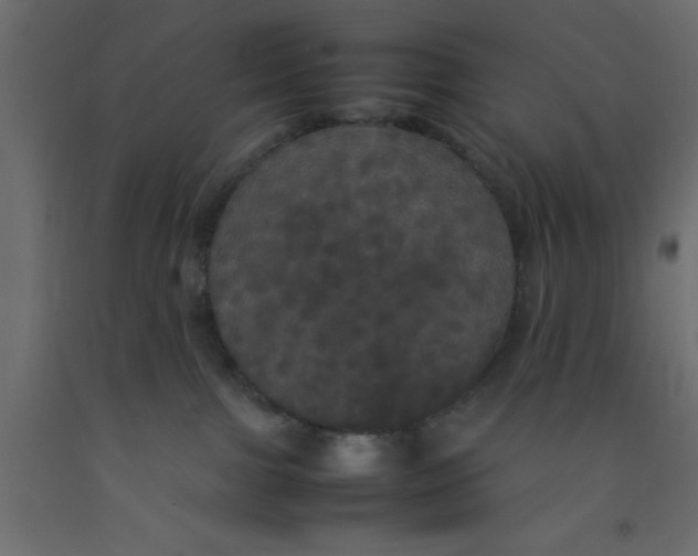 X0000092090091200710101110