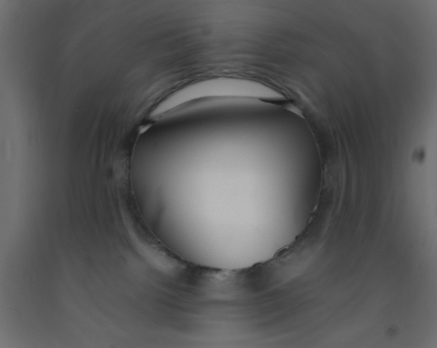 X0000092090092200710101110