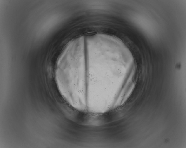 X0000092090093200710101110