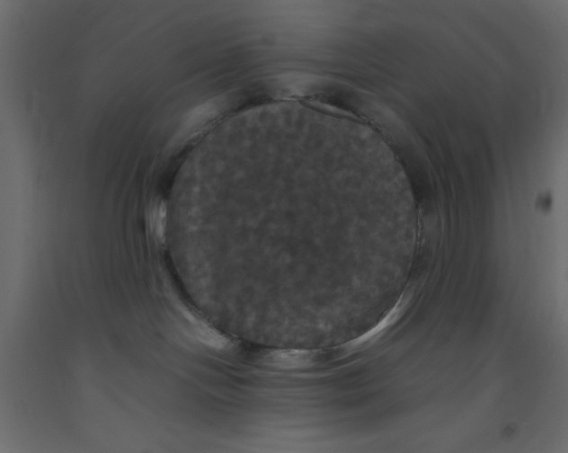 X0000092090094200710101110