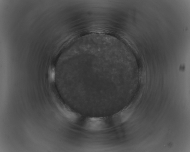 X0000092090095200710101110