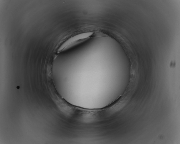 X0000092090096200710101110