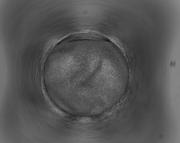 X0000092090097200710101109
