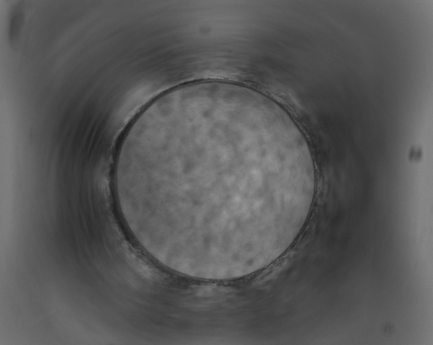 X0000092090098200710101109