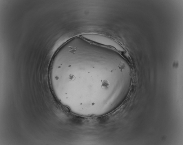 X0000092090099200710101109