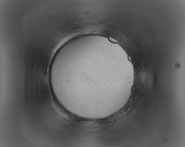 X0000092090100200710101109