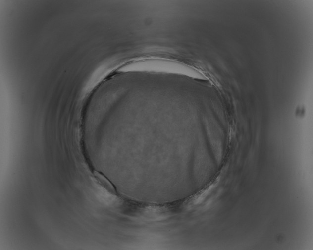 X0000092090101200710101109