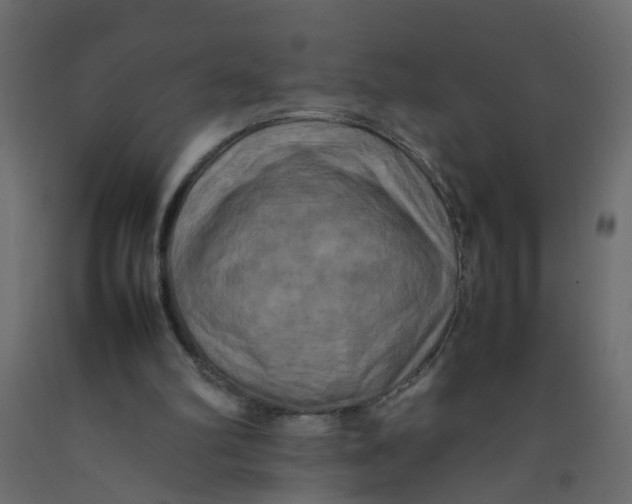 X0000092090102200710101109