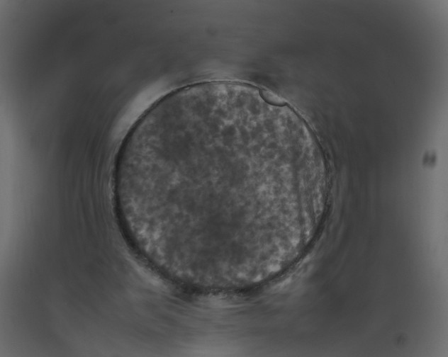 X0000092090103200710101109