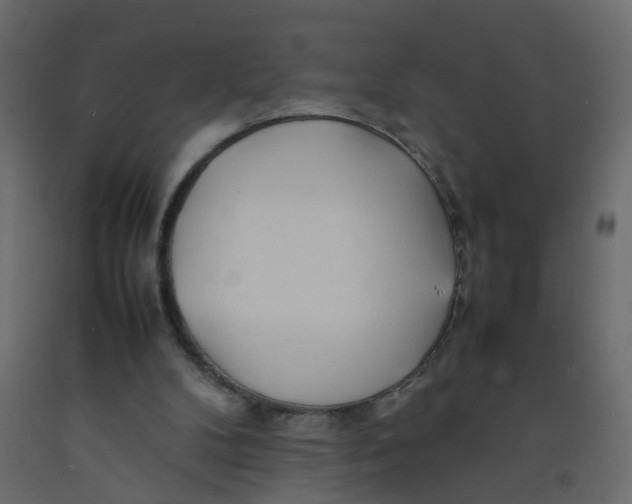 X0000092090104200710101109