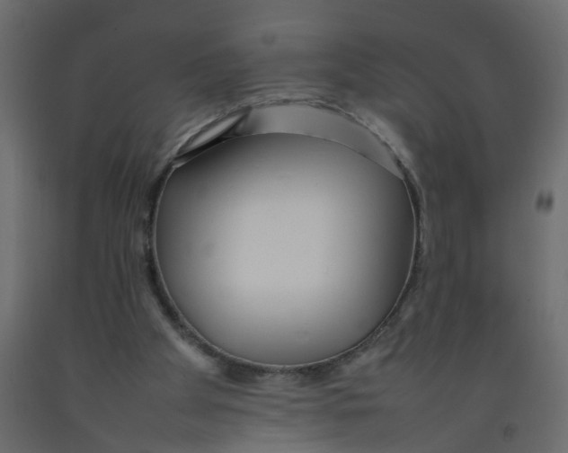 X0000092090105200710101109