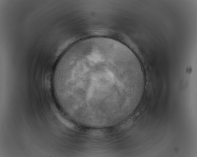 X0000092090106200710101109
