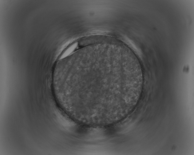 X0000092090107200710101109