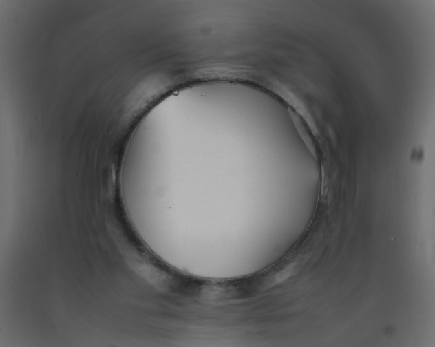X0000092090109200710101109