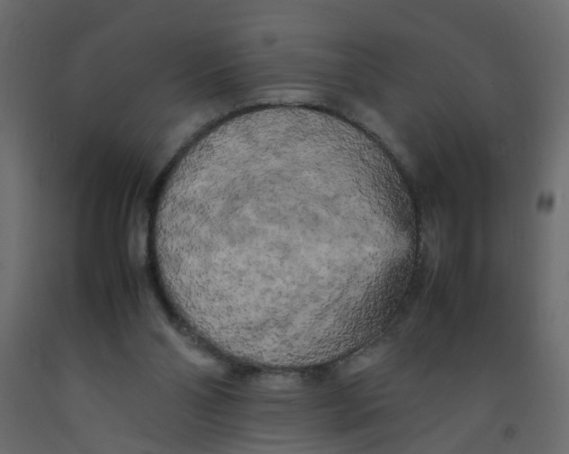 X0000092090110200710101109