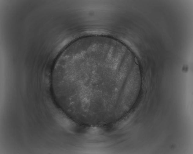 X0000092090111200710101109