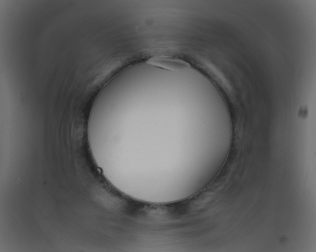 X0000092090113200710101109