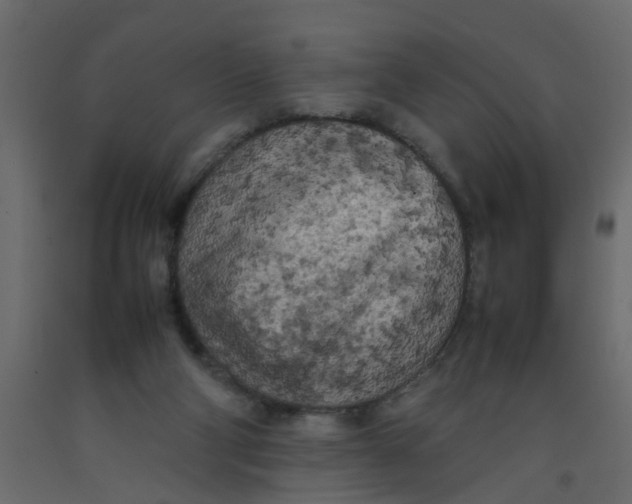 X0000092090114200710101109