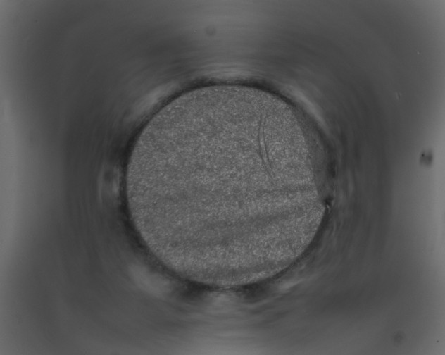 X0000092090115200710101109