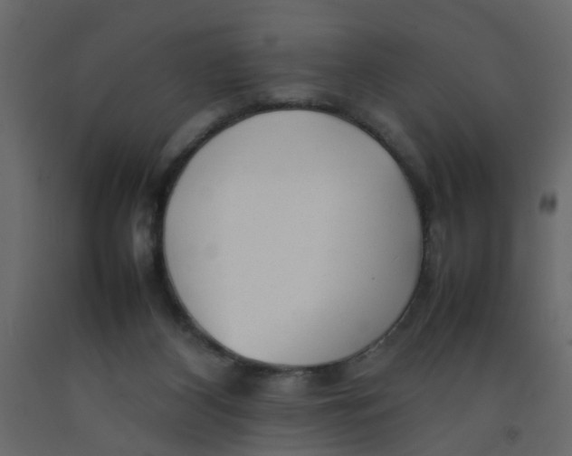 X0000092090116200710101109