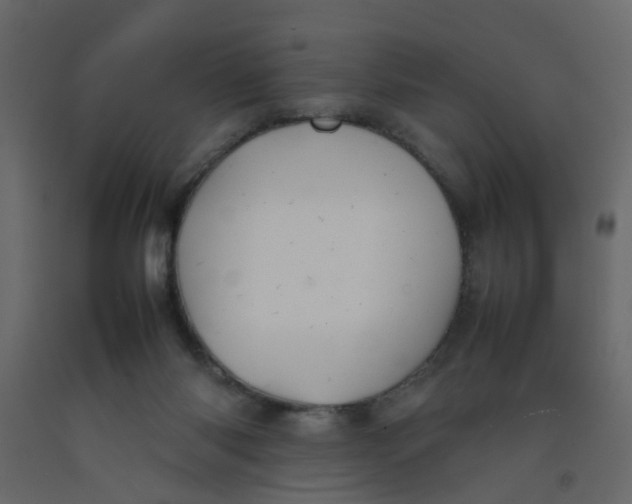 X0000092090118200710101109