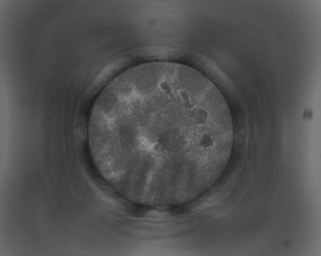 X0000092090119200710101109